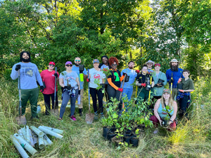 Joint Action Planting Trees (not that kind!)