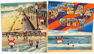 Part 3: Maryland Daytripping to the Beach
