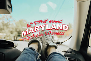 Part 5: Maryland Daytrip to Howard & Montgomery Counties