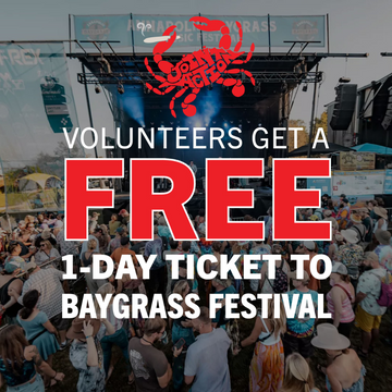 Get High on Volunteering at the Bay Grass Music Festival!